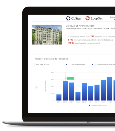 Previewing a page on LoopNet